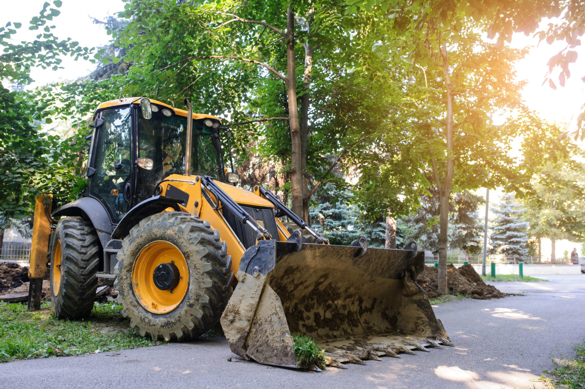 excavator tree removal