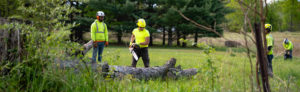 Men standing over a tree that was cut down with a chainsaw